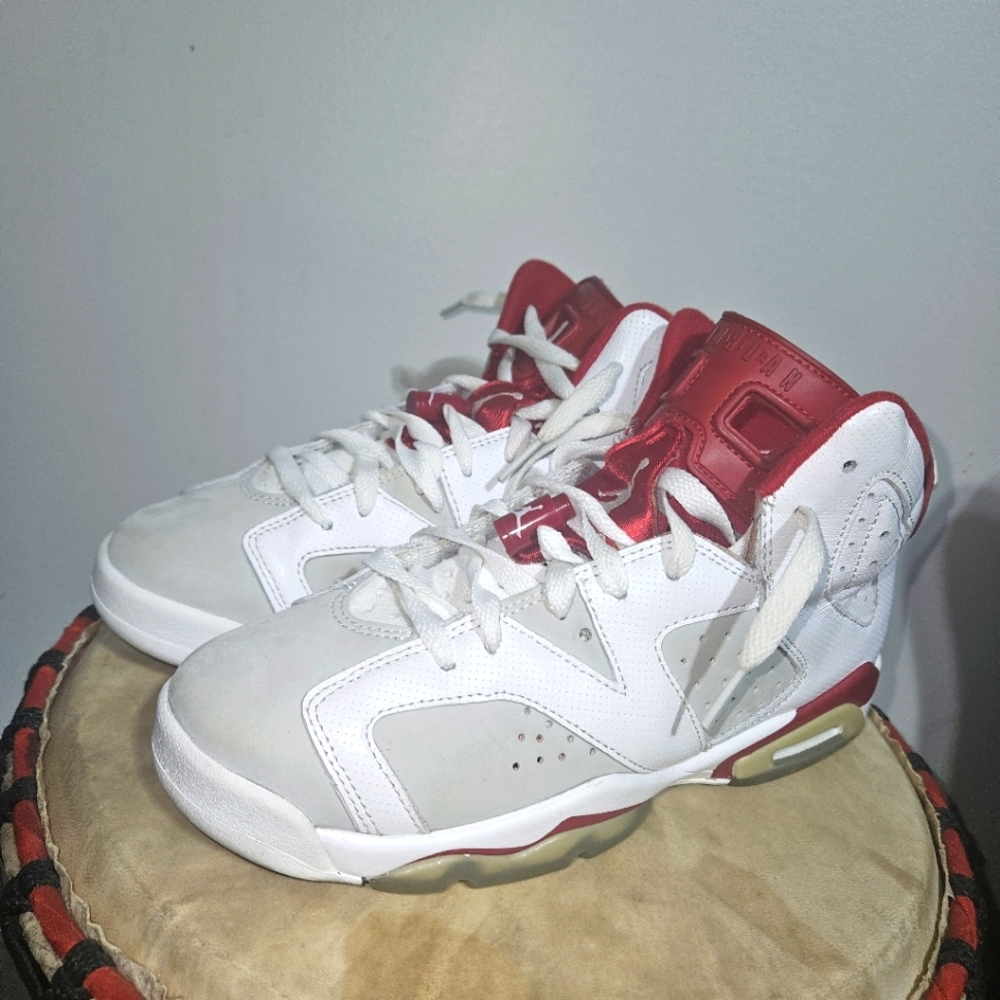 Jordan 6 Alternate